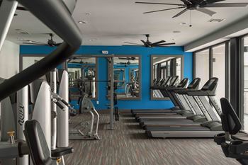 A gym with treadmills, weights, and a fan.